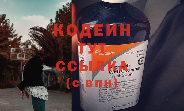 стаф Магас