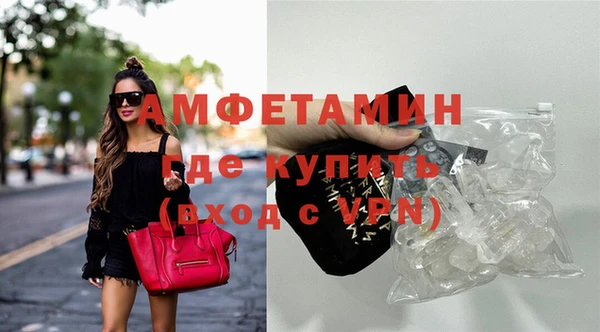 стаф Магас