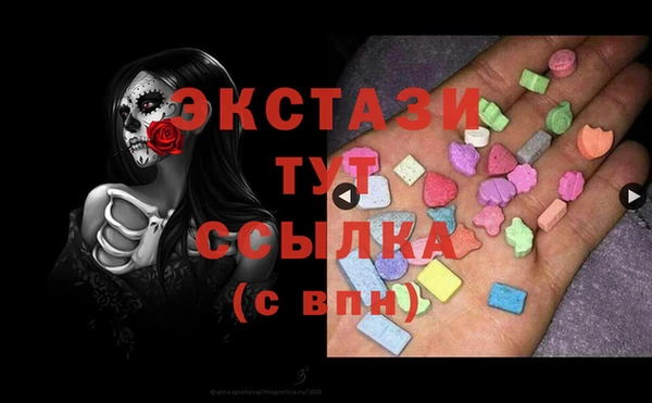 стаф Магас