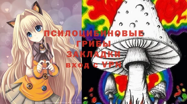 не бодяженный Магадан